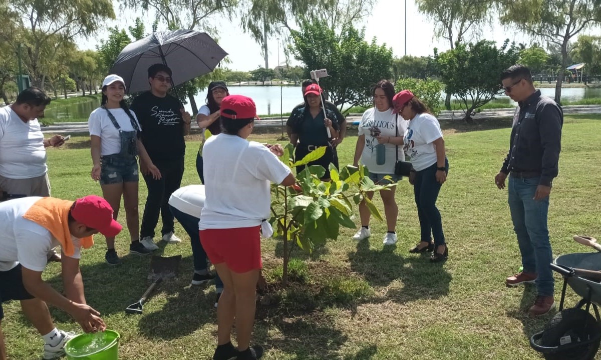 Realizan Trabajos de Reforestación en el Parque Bicentenario de Ciudad Madero