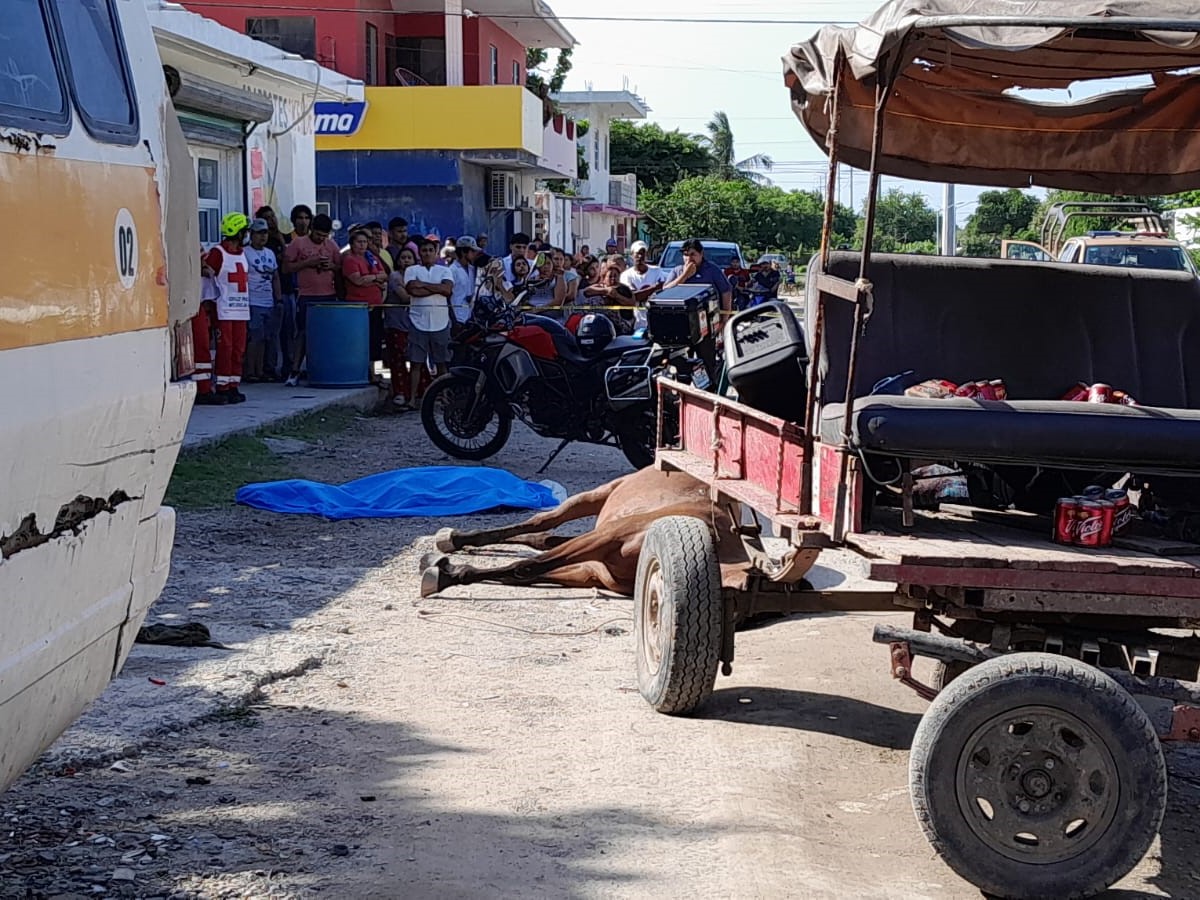 «Carretonero» muere al ser atacado por su caballo en Cd. Madero