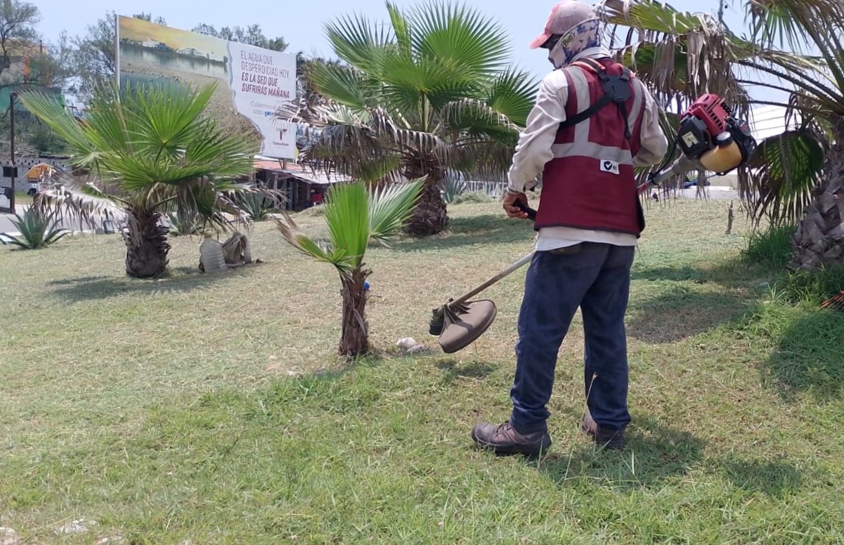 Mantienen trabajos permanentes de limpieza en Playa Miramar