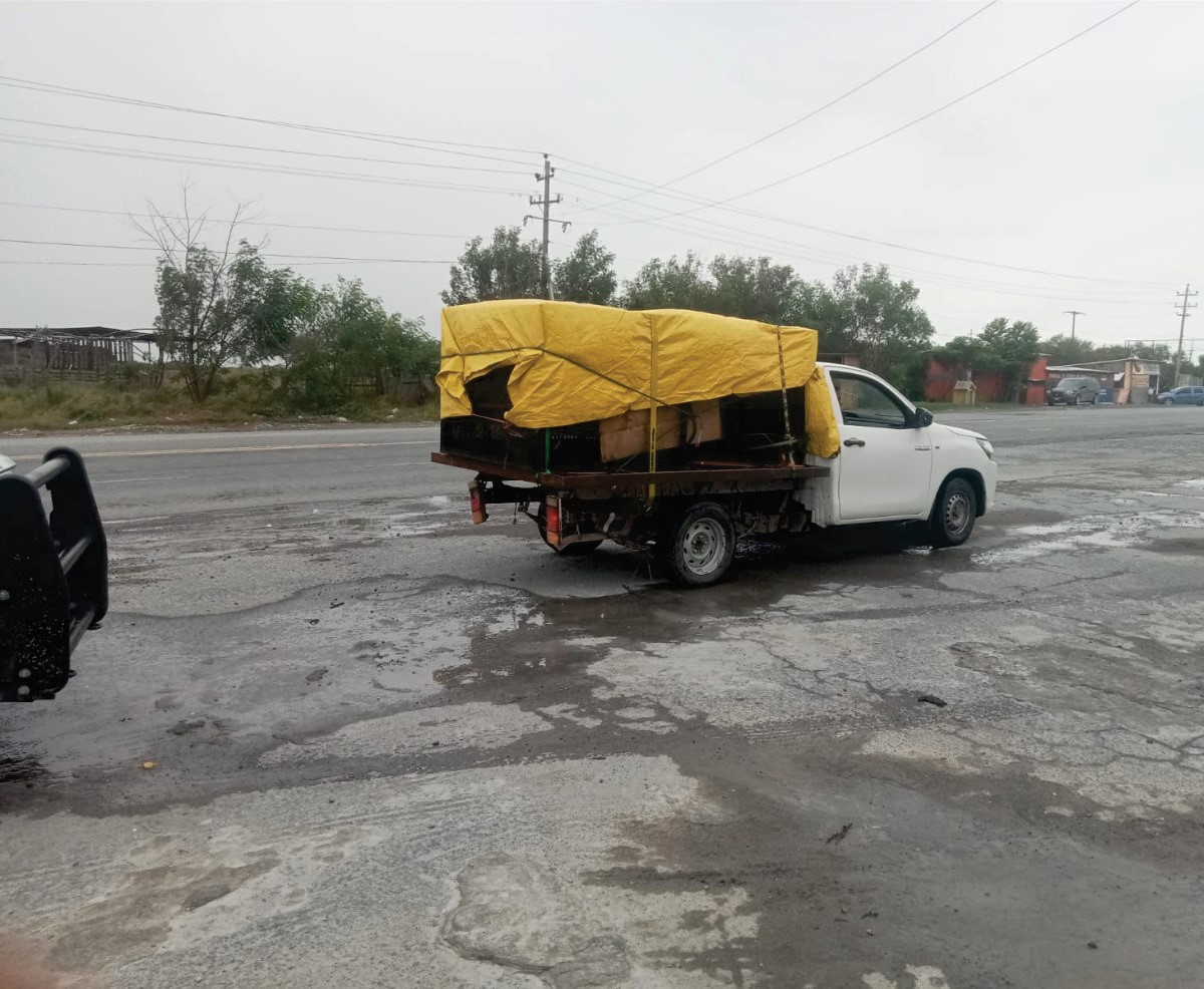 Guardia Estatal brindó seguridad en traslado de tigre de bengala