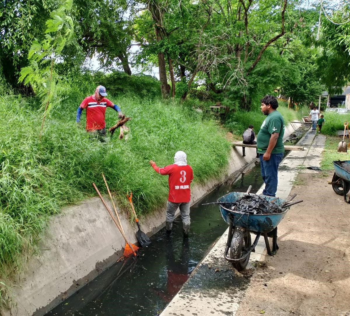 Intensifican Labores de Limpieza y Desazolve en la Red Hidráulica de Tampico